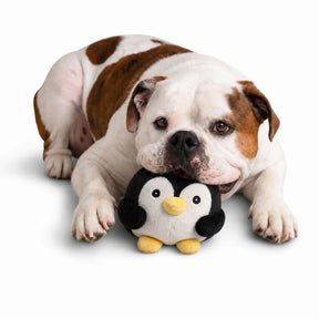 Nandog Pet Gear - My BFF Glacier The Penguin