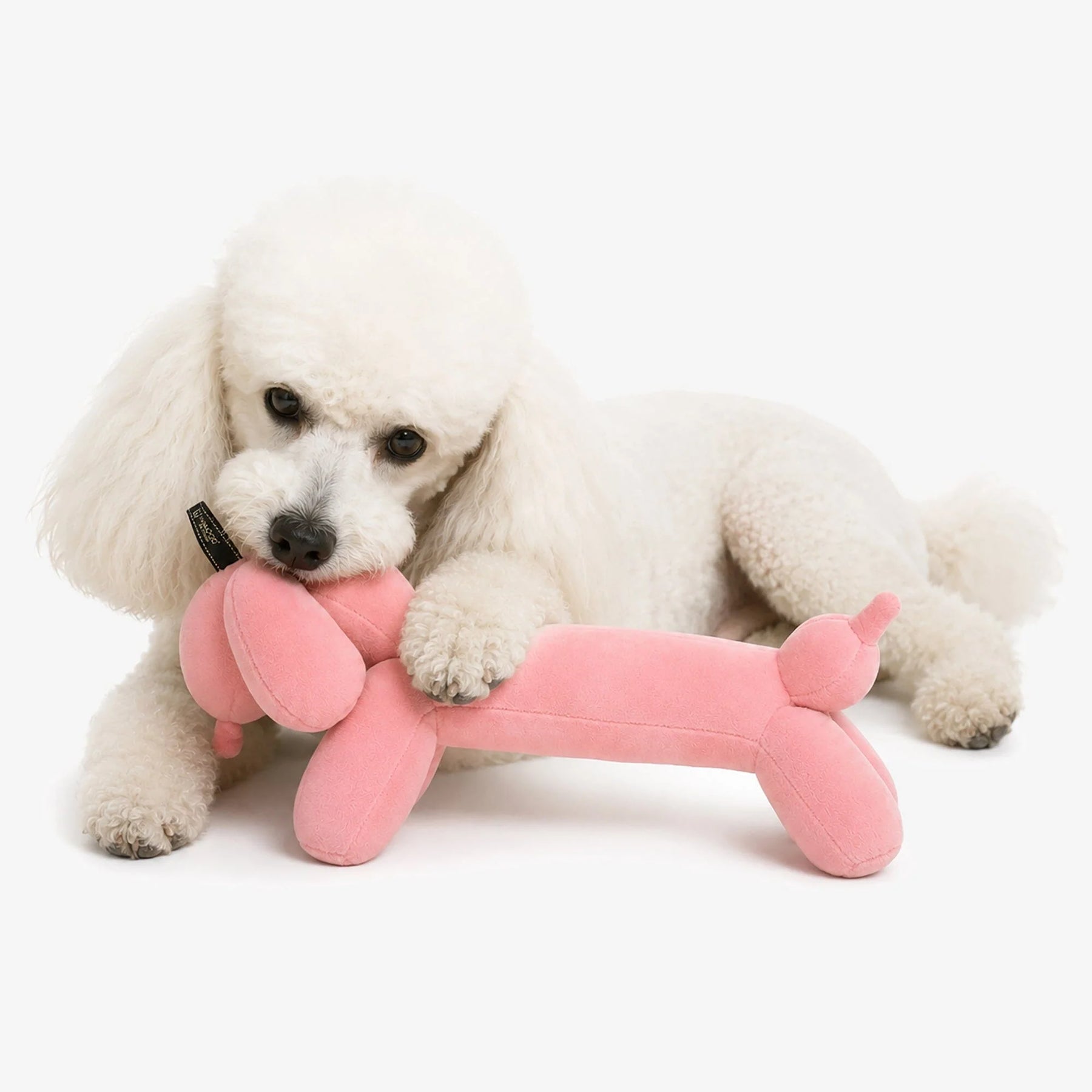 Nandog Pet Gear - My BFF Pink Twister Dog Toy