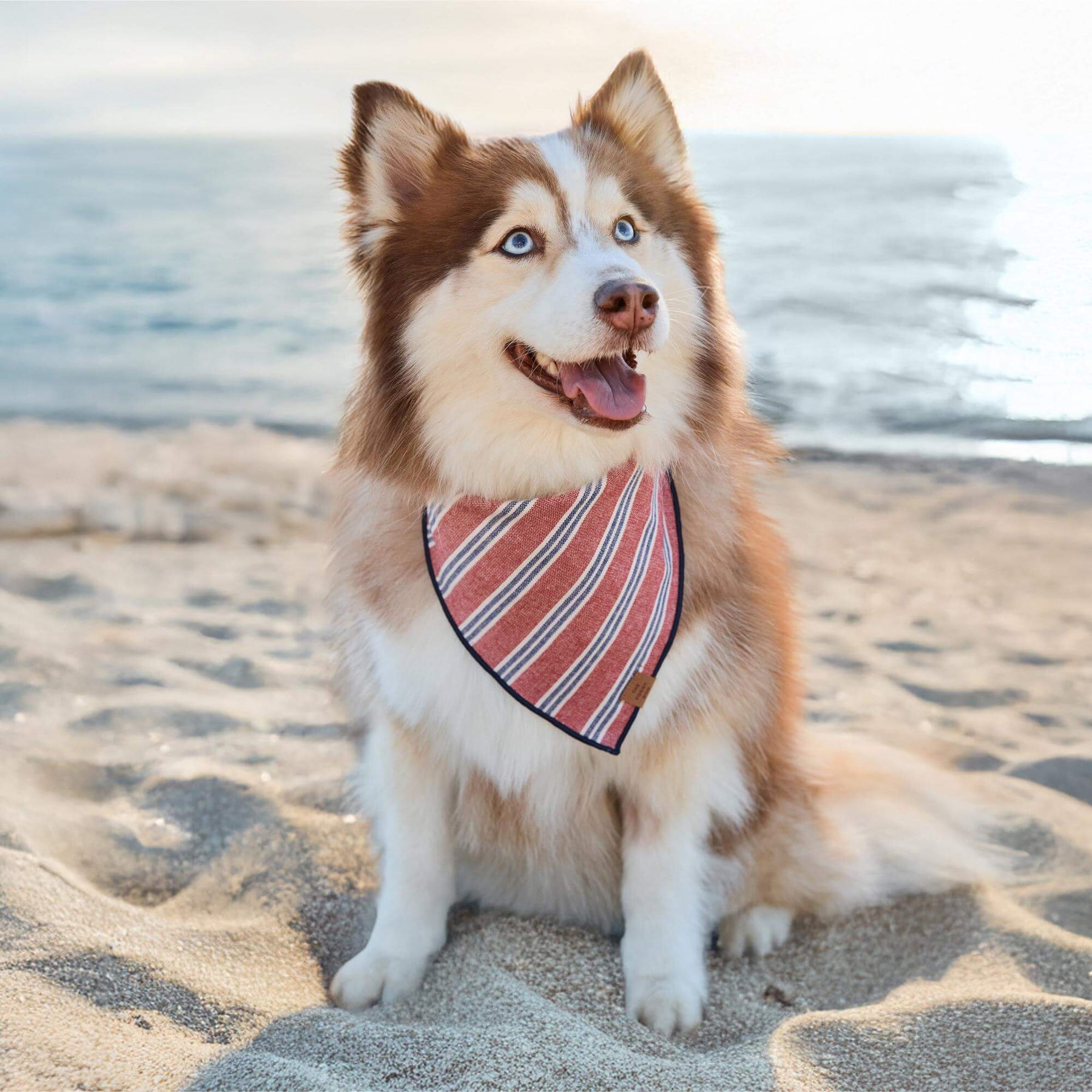 The Foggy Dog - Bandana Dog Nantucket Stripe