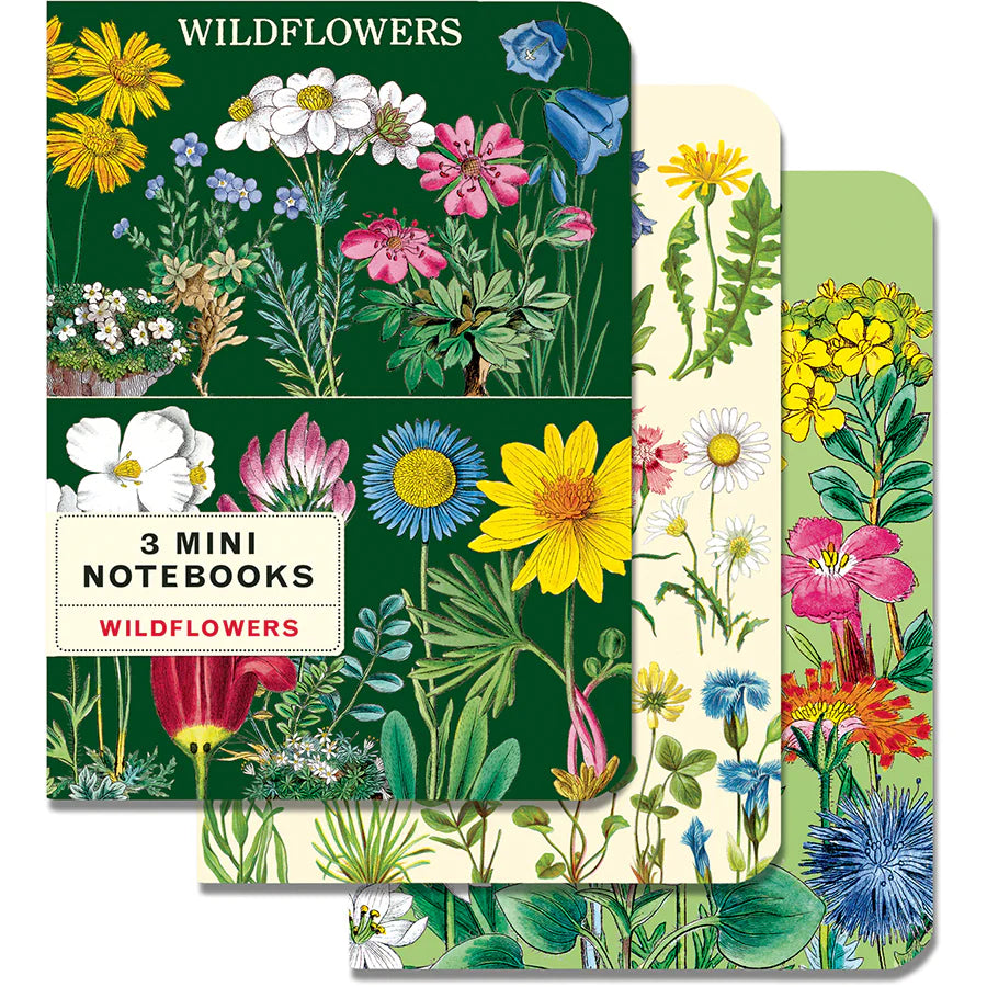 Cavallini Papers & Co - Mini Notebooks Set of 3