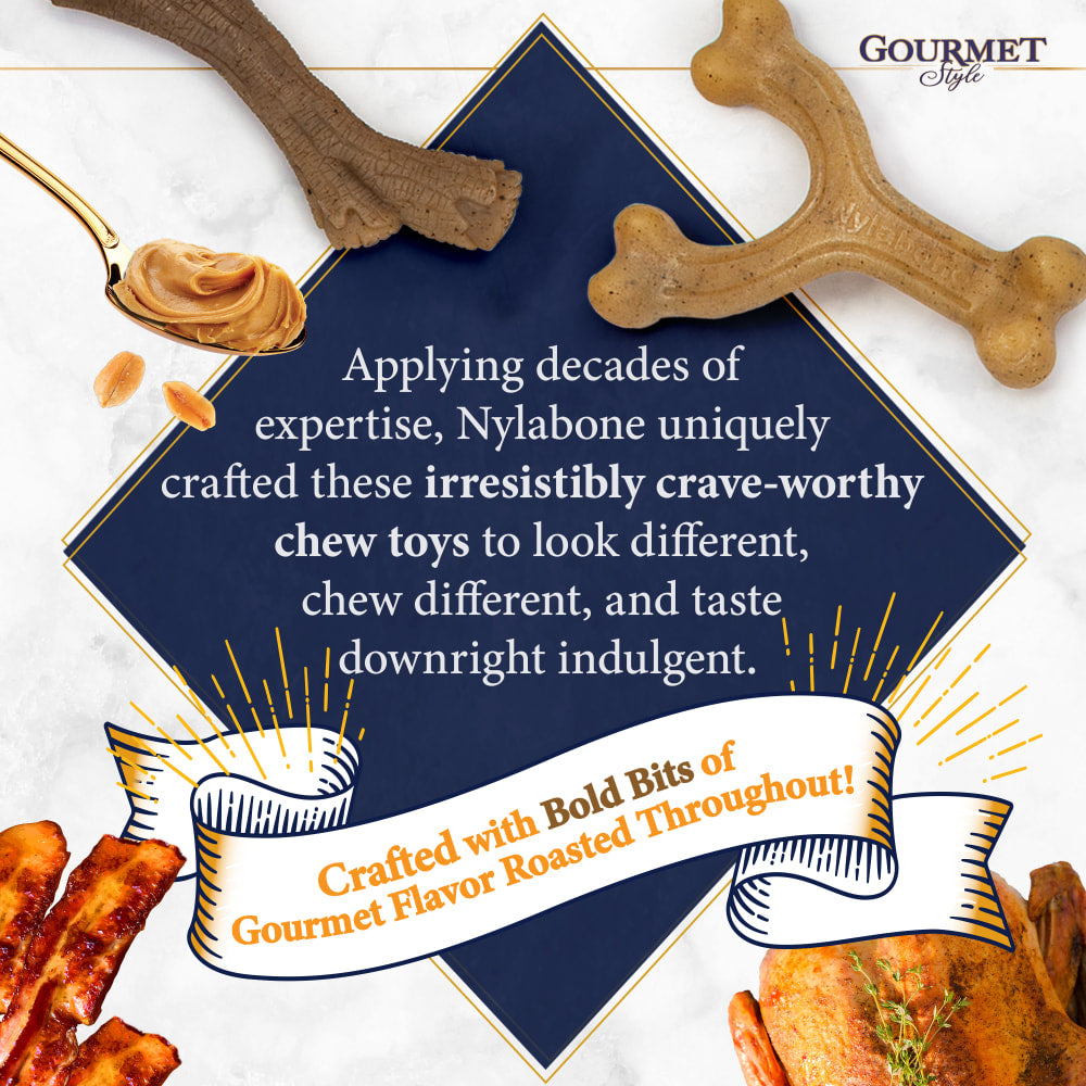Nylabone - Gourmet Wishbone Bacon Regular Strong Chew
