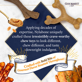 Nylabone - Gourmet Wishbone Bacon Regular Strong Chew