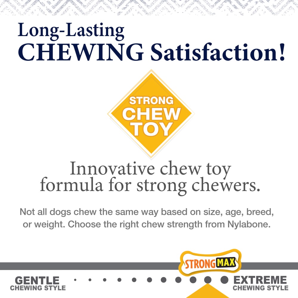 Nylabone - Gourmet Femur Bacon & Chicken Strong Chew Small