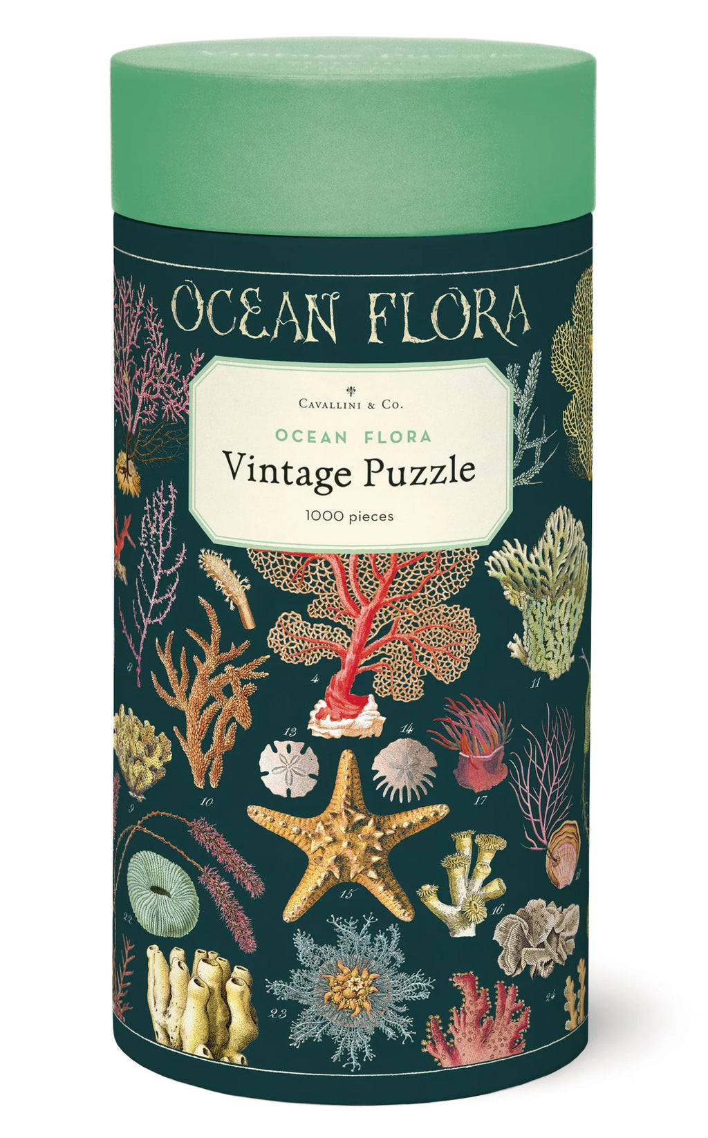 MEDULLA W102 FLOWER & R102 OCEAN セット Cavallini & Co. - Puzzle Ocean Flora
