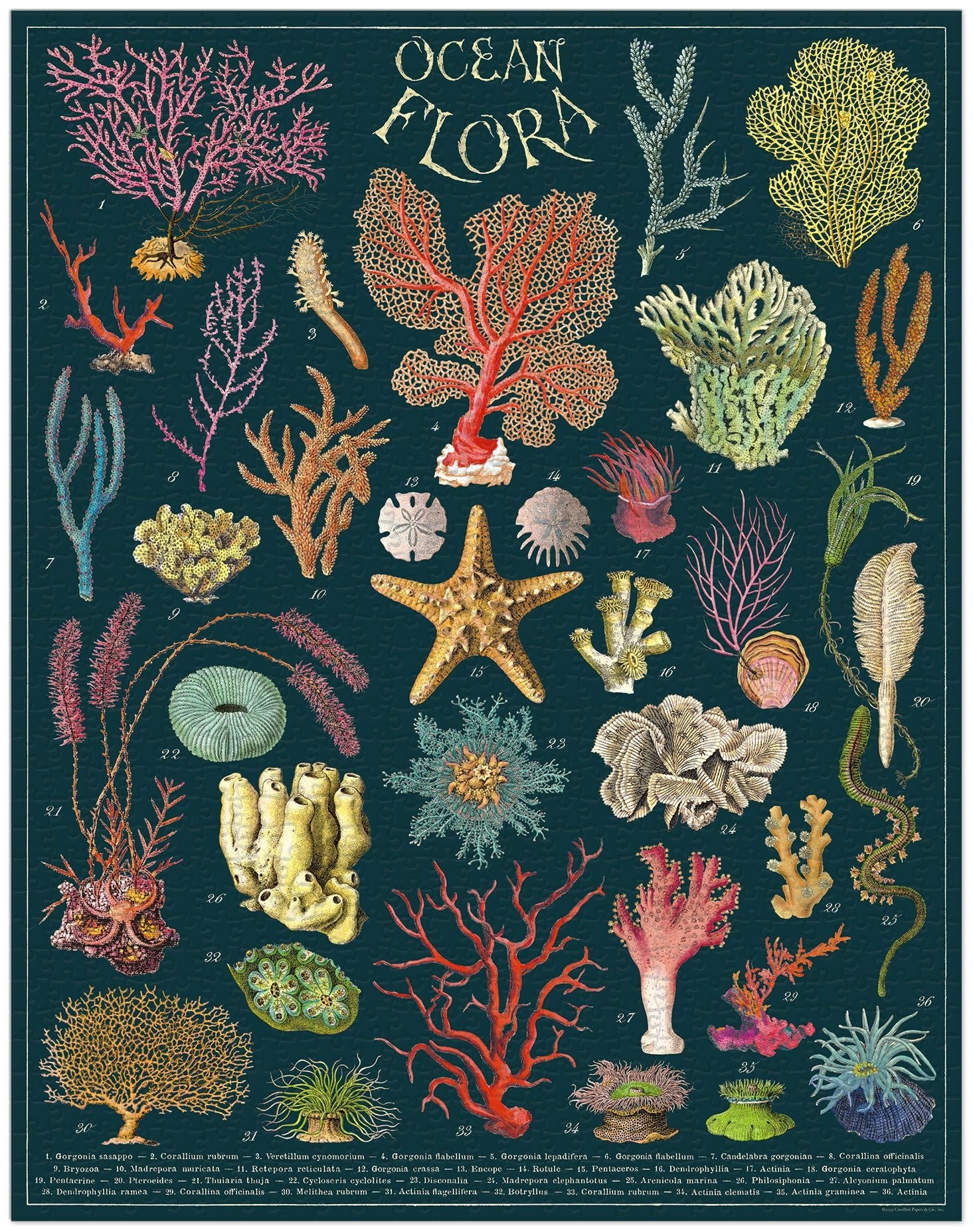 Cavallini & Co. - Puzzle Ocean Flora
