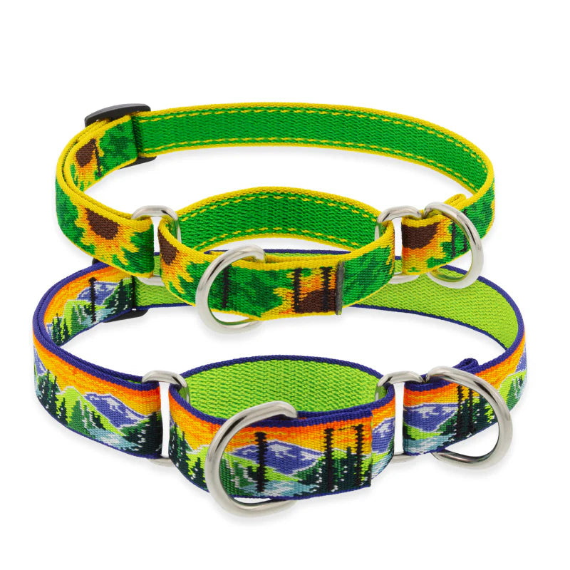 Lupine Pet - Choke Collar Nylon Adjustable High Country