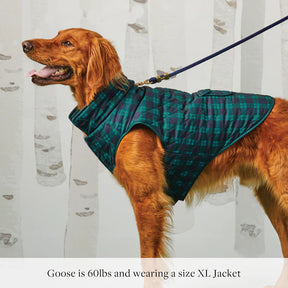 The Foggy Dog - Dog Jacket Black Watch Plaid Reversible