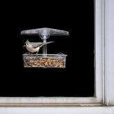 Droll Yankee - Bird Feeder Observer Window