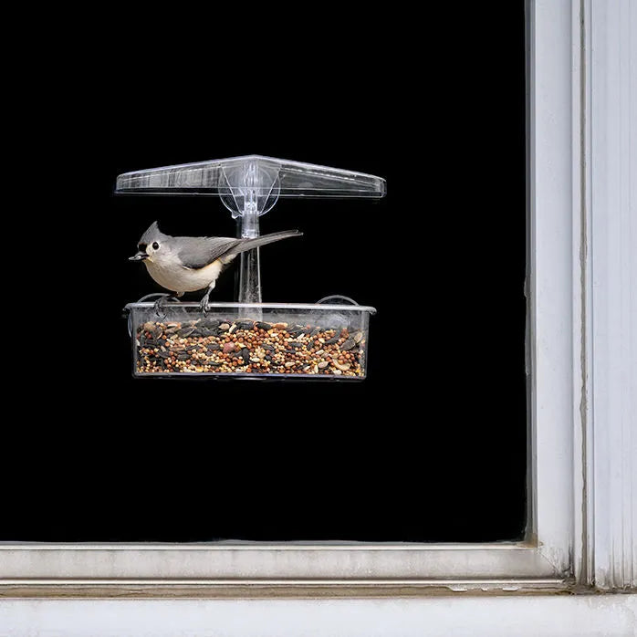 Droll Yankee - Bird Feeder Observer Window