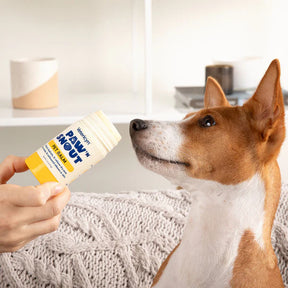Vetericyn - Paw 'N Snout Balm