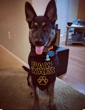 Dog Bandana Paw Wars