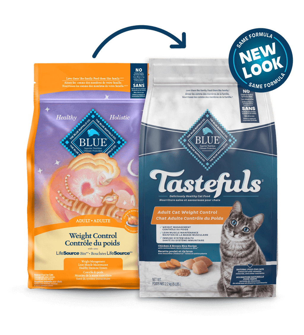 Blue buffalo weight management cat food online