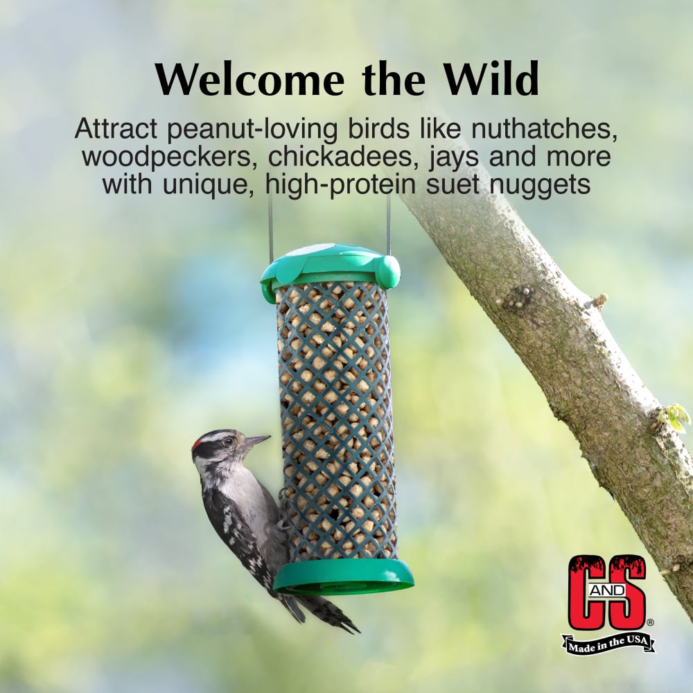 C & S Products - Peanut Suet Nuggets™