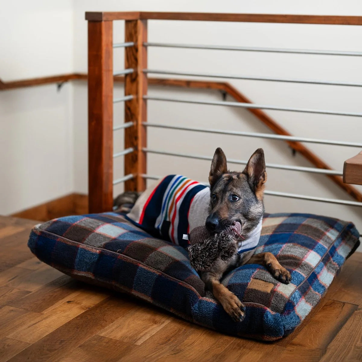 Carolina Pet Company - Pendleton Napper Mountain Plaid