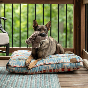 Carolina Pet Company - Pendleton Plush Squirrel Dog