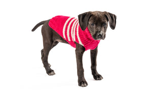 Dog Sweater Alpaca Katie Stripe