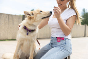 Woofhoof- Pocket Dog Treat Pouch