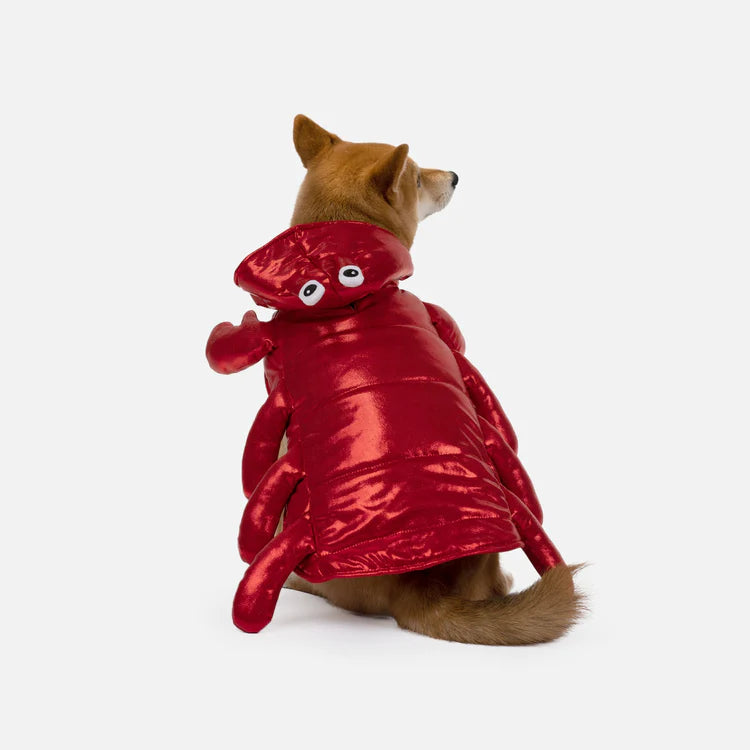 Playful Lobster Dog Costume