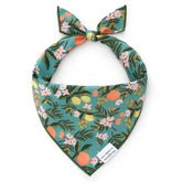 The Foggy Dog - Bandana Citrus Floral - Southern Agriculture 