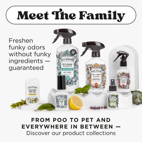 Home-Pourri Air+Fabric Bamboo Rain Spray