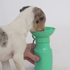 Springland Pets - Travel Water Bottle For Dogs 15 oz.