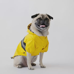 Aden Dog Raincoat Yellow