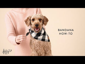 Bandana Dog Pup, Pup, and Away