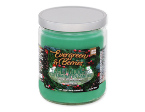 Specialty Pet Products - Pet Odor Exterminator - Evergreen & Berries