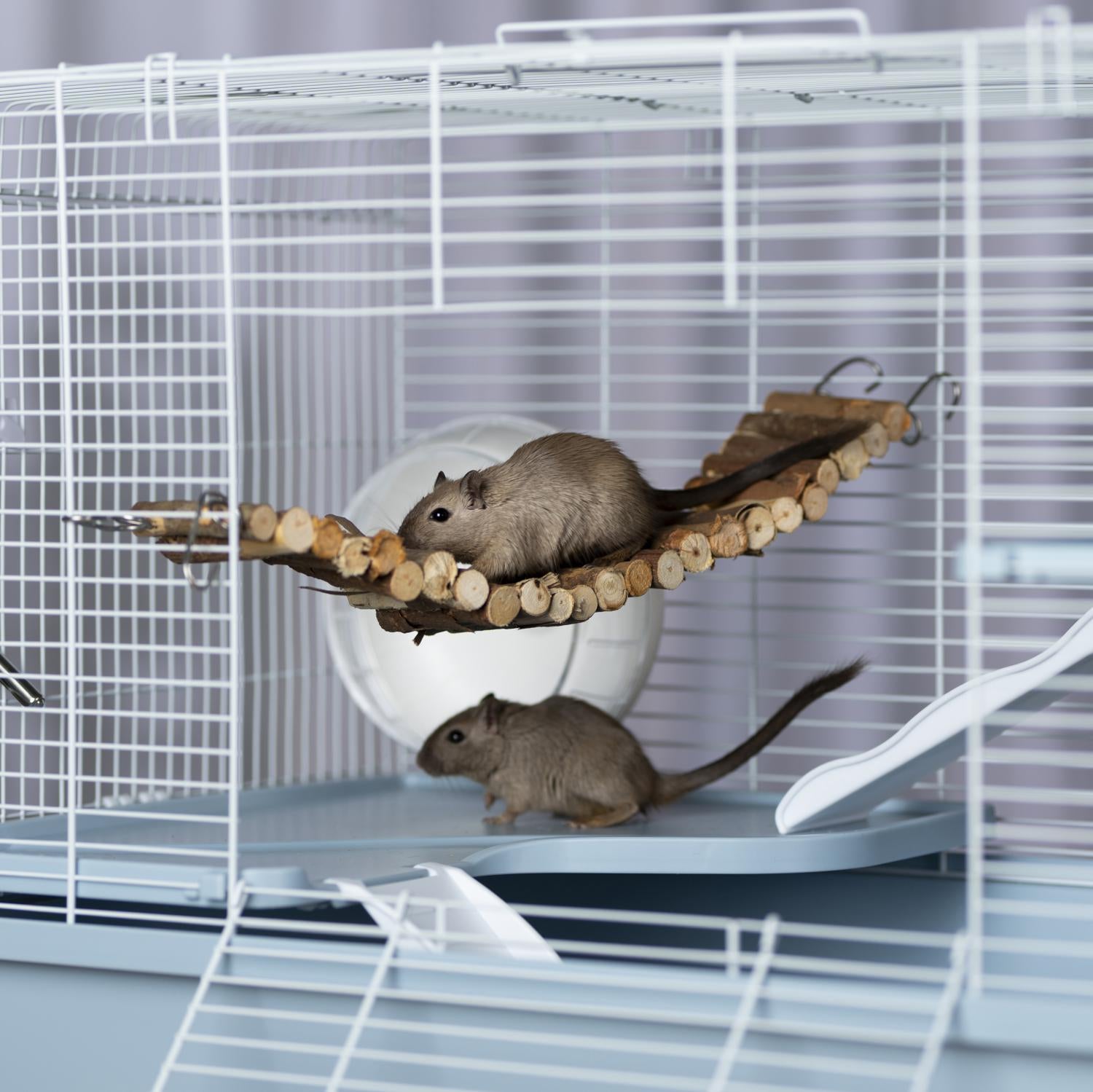 Prevue Hendryx - Bendy Bridge For Small Animals