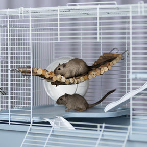 Prevue Hendryx - Bendy Bridge For Small Animals