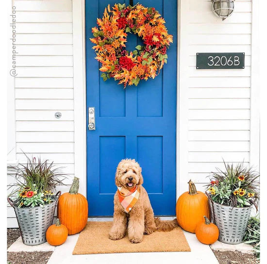 The Foggy Dog - Bandana Dog Pumpkin Spice Flannel Fall