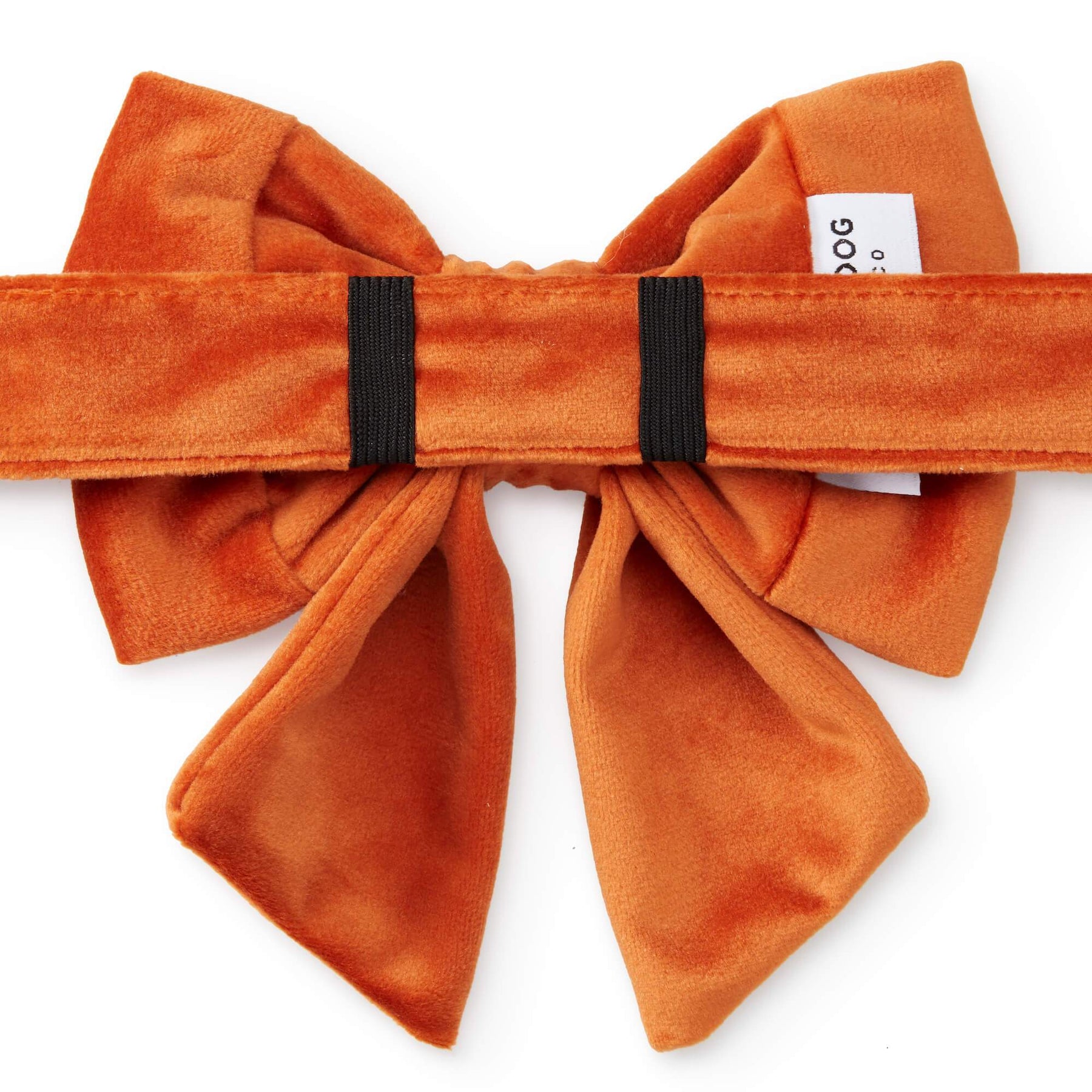 The Foggy Dog - Lady Bow Pumpkin Velvet