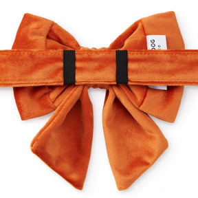 The Foggy Dog - Lady Bow Pumpkin Velvet