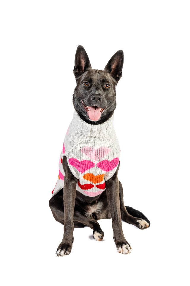 Chilly Dog - Dog Sweater Puppy Love Knit