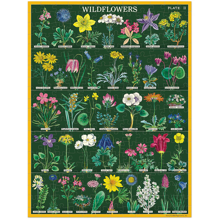 Cavallini & Co. - Puzzle Wildfowers Mini