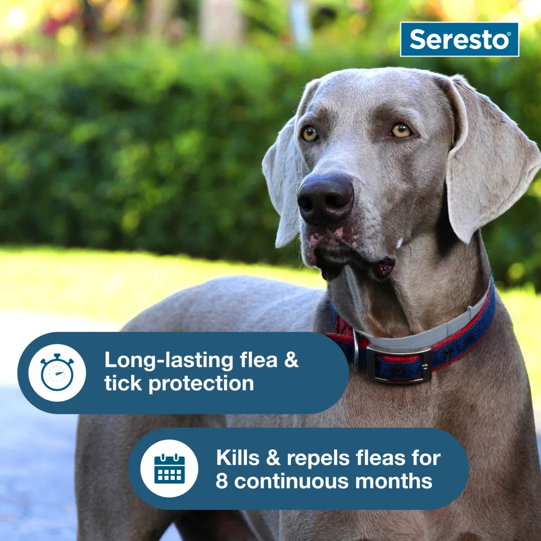 Elanco - Seresto Collar
