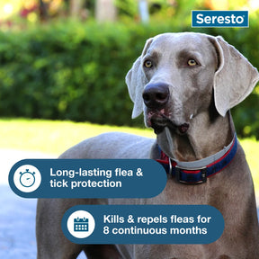 Elanco - Seresto Collar