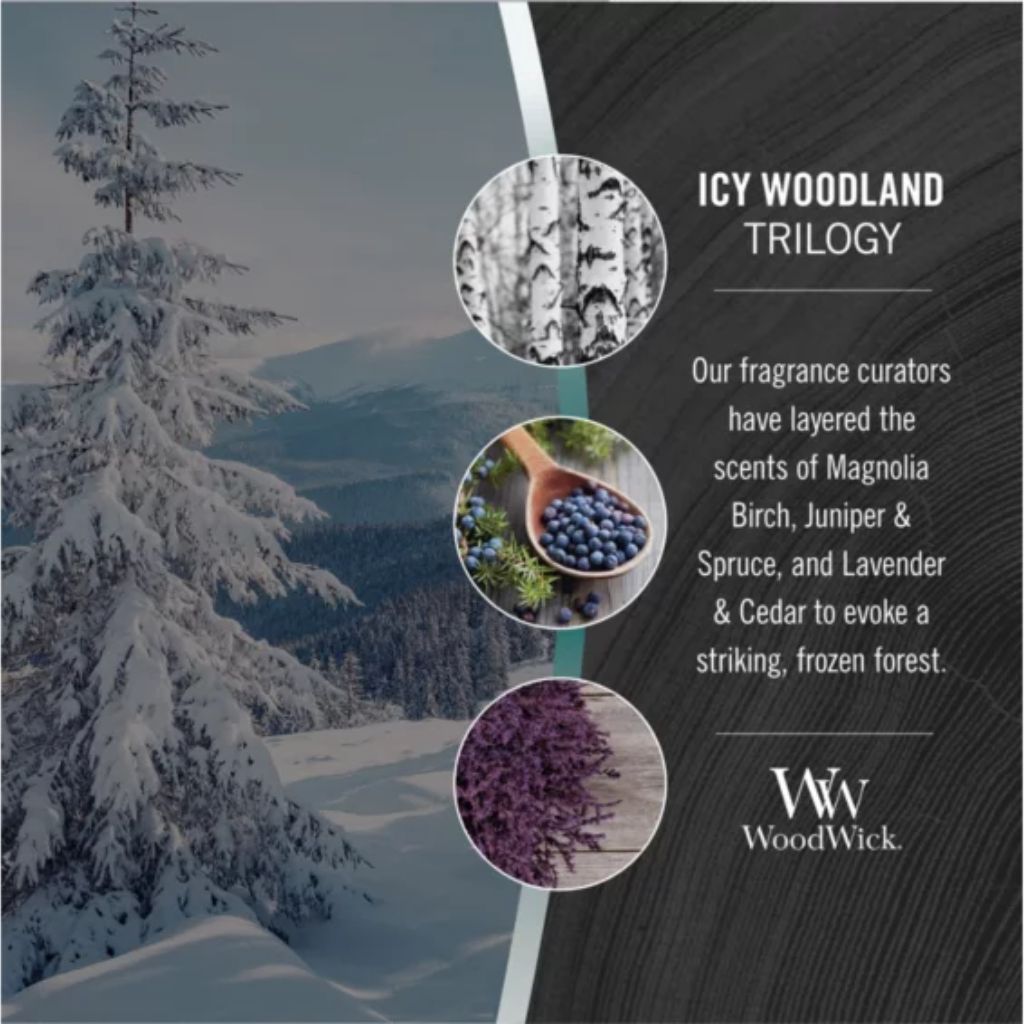 Woodwick - Medium Trilogy Icy Woodland