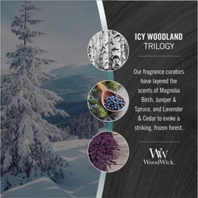 Woodwick - Medium Trilogy Icy Woodland