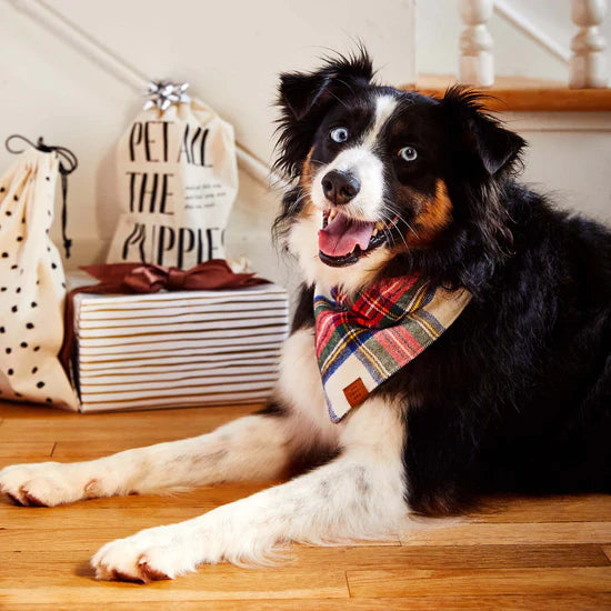 The Foggy Dog - Bandana Dog Holiday Regent Plaid Flannel