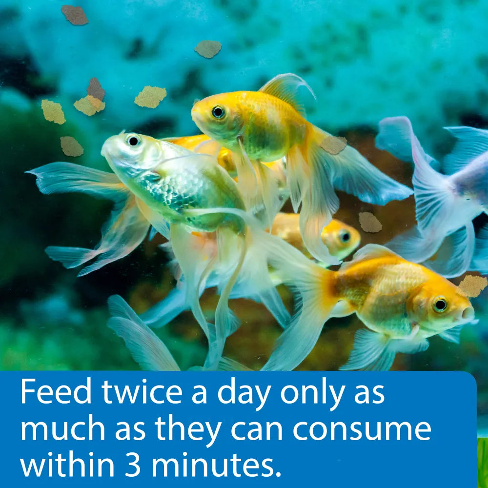 API - Goldfish Flake Fish Food