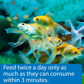 API - Goldfish Flake Fish Food