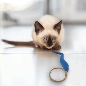 Dezi & Roo - Cat Toy A-Lure-Ring
