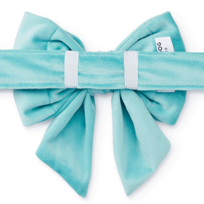 Lady Dog Bow Velvet Robin's Egg