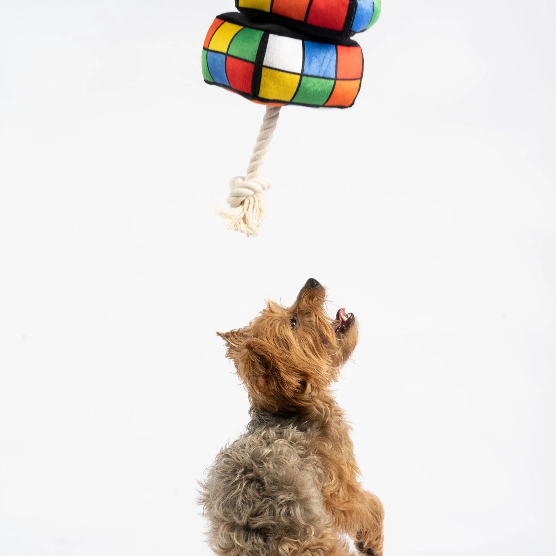 Silver Paw - Rubix Cube Dog Toy