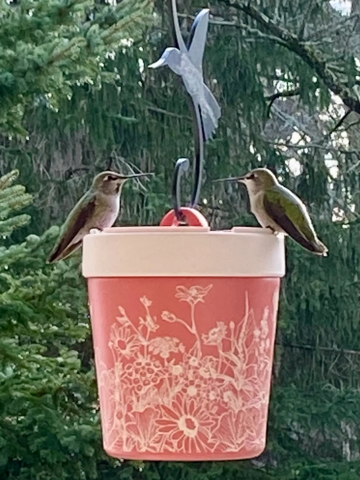 Anna's Healthy Hummingbird - Hummingbird Feeder Insulated Stainless Steel