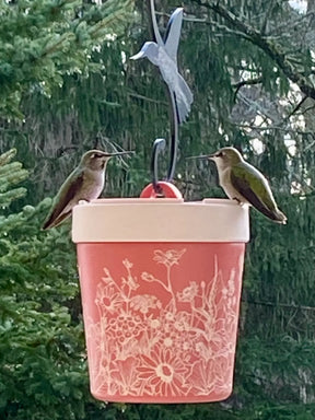 Anna's Healthy Hummingbird - Hummingbird Feeder Insulated Stainless Steel