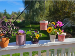 Anna's Healthy Hummingbird - Hummingbird Feeder Insulated Stainless Steel