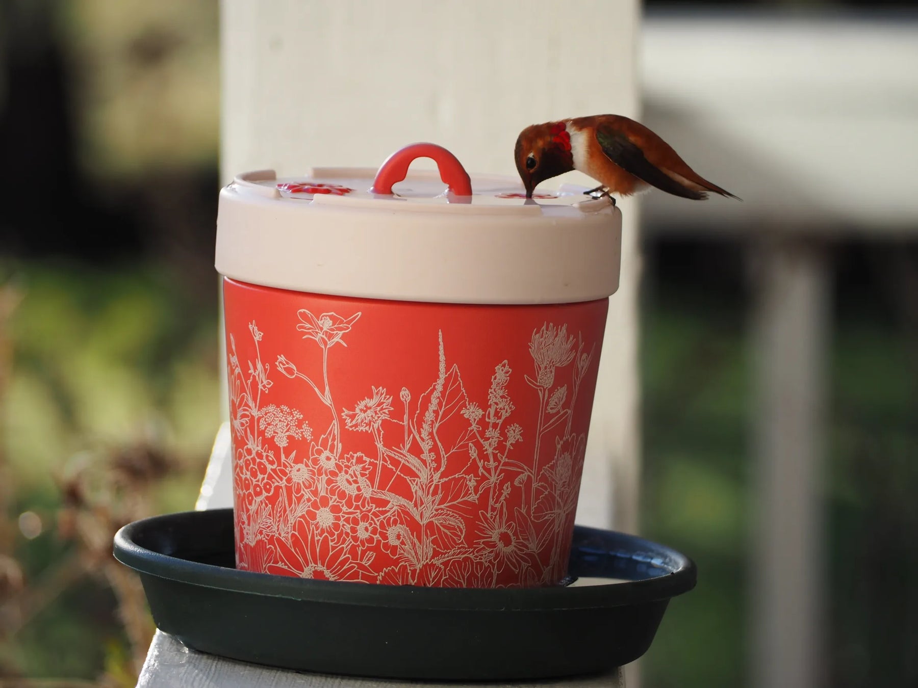 Anna's Healthy Hummingbird - Hummingbird Feeder Insulated Stainless Steel