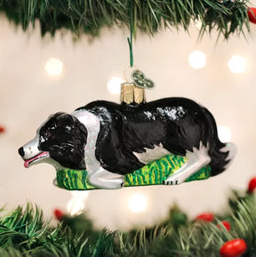 Old World Christmas - Herding Border Collie Ornament